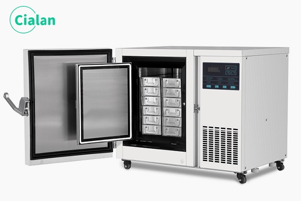 ultra low freezer -80